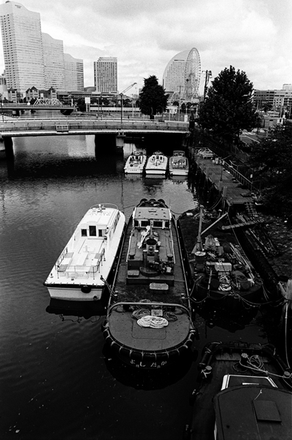 ���U���ʐ^�A���o�� f-2008.08.31-F5-400TX-3025.jpg 2008.08.31<BR>���l<BR>F5<BR>400TX D76 1:1