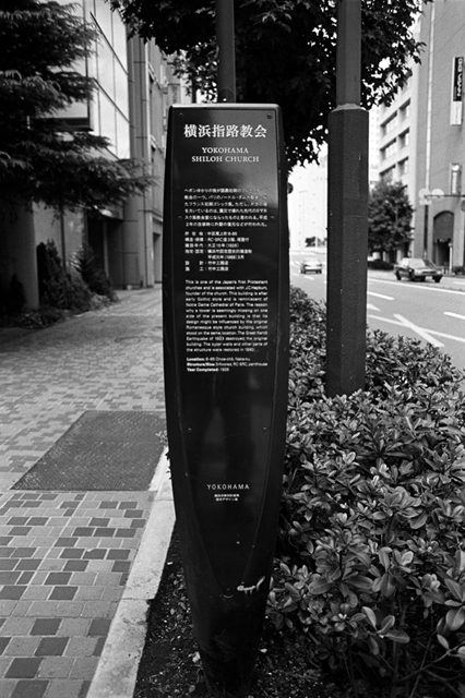 ���U���ʐ^�A���o�� f-2008.08.31-F5-400TX-3026.jpg 2008.08.31<BR>���l<BR>F5<BR>400TX D76 1:1