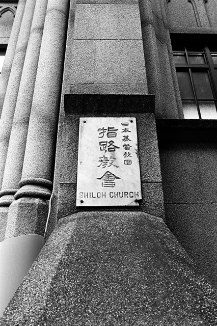 ���U���ʐ^�A���o�� f-2008.08.31-F5-400TX-3027.jpg 2008.08.31<BR>���l<BR>F5<BR>400TX D76 1:1