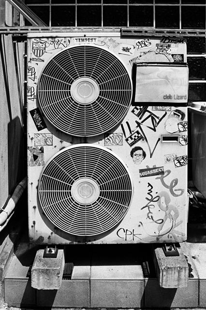���U���ʐ^�A���o�� f-2008.08.31-F5-400TX-3035.jpg 2008.08.31<BR>���l<BR>F5<BR>400TX D76 1:1