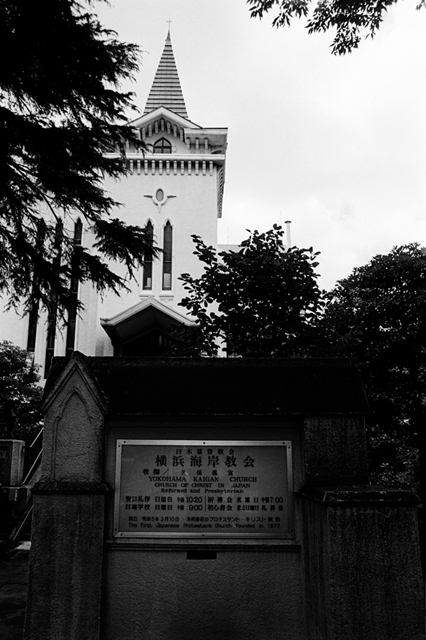 ���U���ʐ^�A���o�� f-2008.08.31-F5-400TX-3039.jpg 2008.08.31<BR>���l<BR>F5<BR>400TX D76 1:1