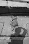 ���U���ʐ^�A���o�� 2009.04.19Hota D3 015 2009.04.19 �ۓc D3 AF28/1.4D