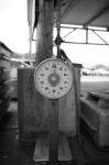 ���U���ʐ^�A���o�� 2009.04.19Hota D3 019 2009.04.19 �ۓc D3 AF28/1.4D