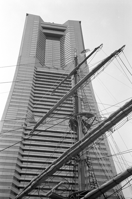 ���U���ʐ^�A���o�� f-2009.07.19-IIIf-Summitar-ACROS100-008.jpg 2009.07.19<BR>���l<BR>�Vf Summitar<BR>ACROS100 D76 1:1