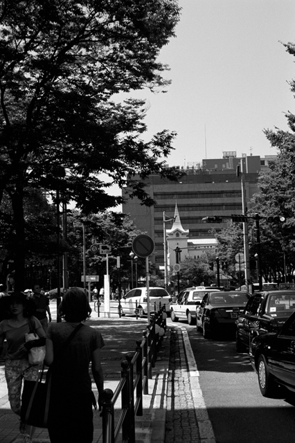 ���U���ʐ^�A���o�� f-2009.07.26Yokohama-IIIf-Summicron50mmF2-ACROS100-029.jpg 2009.07.26<BR>���l<BR>�Vf Summicron50/2<BR>ACROS100 D76 1:1