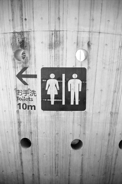 ���U���ʐ^�A���o�� f-2009.07.26Yokohama-IIIf-Summicron50mmF2-ACROS100-031.jpg 2009.07.26<BR>���l<BR>�Vf Summicron50/2<BR>ACROS100 D76 1:1