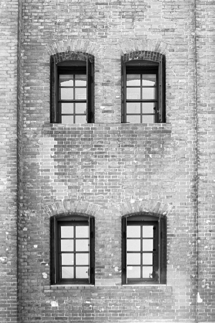 ���U���ʐ^�A���o�� f-2009.07.26Yokohama-IIIf-Summicron50mmF2-ACROS100-033.jpg 2009.07.26<BR>���l<BR>�Vf Summicron50/2<BR>ACROS100 D76 1:1