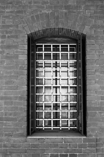 ���U���ʐ^�A���o�� f-2009.07.26Yokohama-IIIf-Summicron50mmF2-ACROS100-035.jpg 2009.07.26<BR>���l<BR>�Vf Summicron50/2<BR>ACROS100 D76 1:1