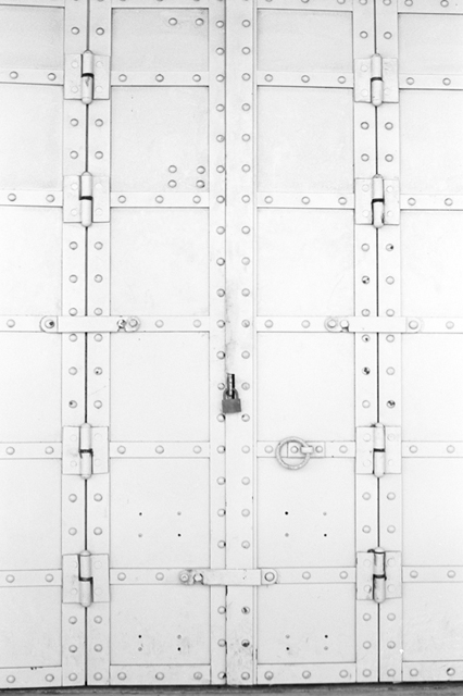 ���U���ʐ^�A���o�� f-2009.07.26Yokohama-IIIf-Summicron50mmF2-ACROS100-036.jpg 2009.07.26<BR>���l<BR>�Vf Summicron50/2<BR>ACROS100 D76 1:1