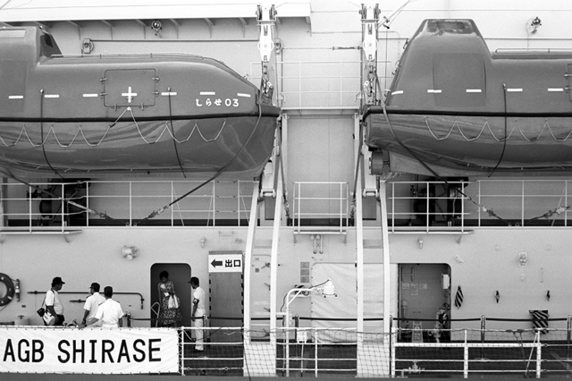 ���U���ʐ^�A���o�� f-2009.07.26Yokohama-IIIf-Summicron50mmF2-ACROS100-039.jpg 2009.07.26<BR>���l<BR>�Vf Summicron50/2<BR>ACROS100 D76 1:1