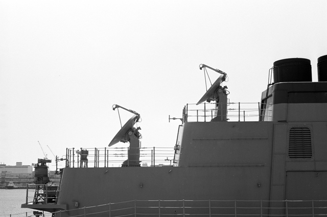 ���U���ʐ^�A���o�� f-2009.07.26Yokohama-IIIf-Summicron50mmF2-ACROS100-041.jpg 2009.07.26<BR>���l<BR>�Vf Summicron50/2<BR>ACROS100 D76 1:1