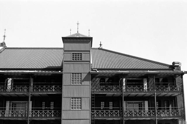 ���U���ʐ^�A���o�� f-2009.07.26Yokohama-IIIf-Summicron50mmF2-ACROS100-042.jpg 2009.07.26<BR>���l<BR>�Vf Summicron50/2<BR>ACROS100 D76 1:1