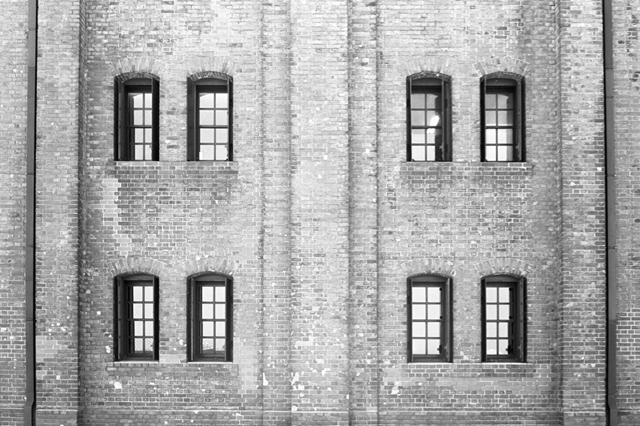 ���U���ʐ^�A���o�� f-2009.07.26Yokohama-IIIf-Summicron50mmF2-ACROS100-044.jpg 2009.07.26<BR>���l<BR>�Vf Summicron50/2<BR>ACROS100 D76 1:1