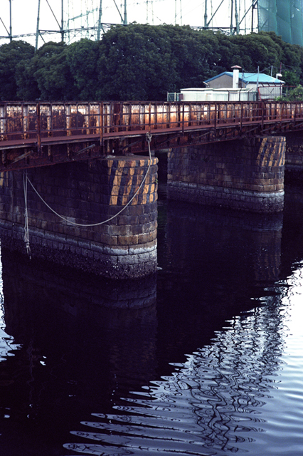 ���U���ʐ^�A���o�� f-2009.08.08Yokohama-IIIf-Summicron50mmF2-EKTAR100-115.jpg 2009.08.08<BR>���l<BR>�Vf Summicron50/2<BR>Ektar100