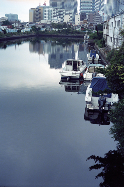 ���U���ʐ^�A���o�� f-2009.08.08Yokohama-IIIf-Summicron50mmF2-EKTAR100-119.jpg 2009.08.08<BR>���l<BR>�Vf Summicron50/2<BR>Ektar100