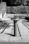 ���U���ʐ^�A���o�� 2009.09.06Yokohama IIIf Summicron50mmF2 ACROS100 111 2009.09.06 ���l �Vf Summicron50/2 ACROS100 D76 1:1
