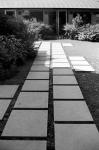 ���U���ʐ^�A���o�� 2009.09.06Yokohama IIIf Summicron50mmF2 ACROS100 114 2009.09.06 ���l �Vf Summicron50/2 ACROS100 D76 1:1
