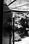 ���U���ʐ^�A���o�� 2009.09.06Yokohama IIIf Summicron50mmF2 ACROS100 115 2009.09.06 ���l �Vf Summicron50/2 ACROS100 D76 1:1
