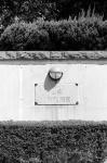 ���U���ʐ^�A���o�� 2009.09.06Yokohama IIIf Summicron50mmF2 ACROS100 116 2009.09.06 ���l �Vf Summicron50/2 ACROS100 D76 1:1