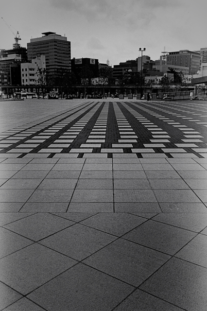 ���U���ʐ^�A���o�� f-2009.09.22Yokohama-IIIf-Summaron35mmF3.5-PRESTO400-029.jpg 2009.09.22<BR>���l<BR>�Vf Summaron35/3.5<BR>PRESTO400 D76 1:1