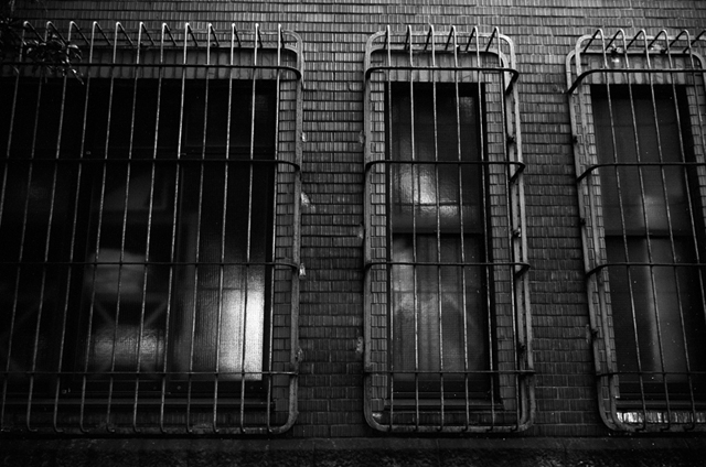 ���U���ʐ^�A���o�� f-2009.11.08Yokohama-IIIf-Summicron35mmF2-ACROS100-213.jpg 2009.11.08<BR>���l<BR>�Vf Summicron35/2<BR>ACROS100 D76 1:1