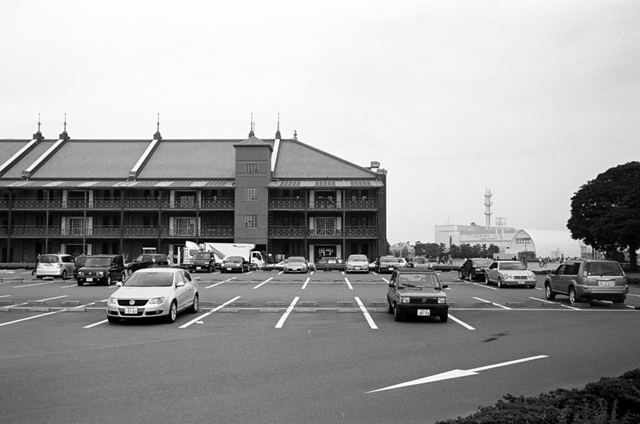 ���U���ʐ^�A���o�� f-2009.11.08Yokohama-IIIf-Summicron35mmF2-ACROS100-217.jpg 2009.11.08<BR>���l<BR>�Vf Summicron35/2<BR>ACROS100 D76 1:1