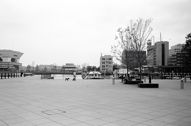 ���U���ʐ^�A���o�� f-2009.11.08Yokohama-IIIf-Summicron35mmF2-ACROS100-219.jpg 2009.11.08<BR>���l<BR>�Vf Summicron35/2<BR>ACROS100 D76 1:1