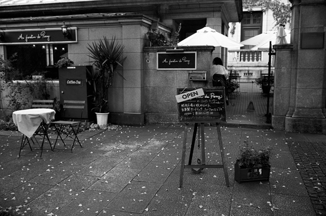 ���U���ʐ^�A���o�� f-2009.11.08Yokohama-IIIf-Summicron35mmF2-ACROS100-220.jpg 2009.11.08<BR>���l<BR>�Vf Summicron35/2<BR>ACROS100 D76 1:1