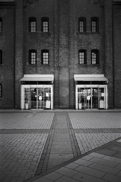 ���U���ʐ^�A���o�� f-2009.11.08Yokohama-IIIf-Summicron35mmF2-ACROS100-302.jpg 2009.11.08<BR>���l<BR>�Vf Summicron35/2<BR>ACROS100 D76 1:1