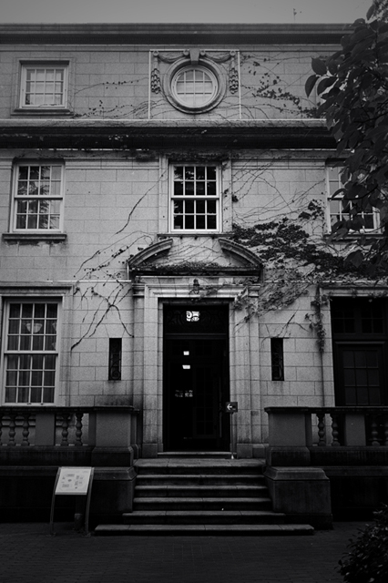 ���U���ʐ^�A���o�� f-2009.11.08Yokohama-IIIf-Summicron35mmF2-ACROS100-303.jpg 2009.11.08<BR>���l<BR>�Vf Summicron35/2<BR>ACROS100 D76 1:1