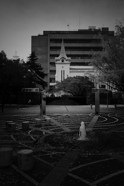 ���U���ʐ^�A���o�� f-2009.11.08Yokohama-IIIf-Summicron35mmF2-ACROS100-304.jpg 2009.11.08<BR>���l<BR>�Vf Summicron35/2<BR>ACROS100 D76 1:1