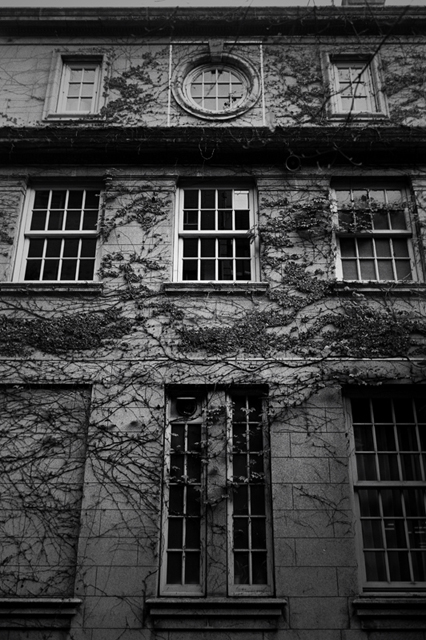 ���U���ʐ^�A���o�� f-2009.11.08Yokohama-IIIf-Summicron35mmF2-ACROS100-305.jpg 2009.11.08<BR>���l<BR>�Vf Summicron35/2<BR>ACROS100 D76 1:1