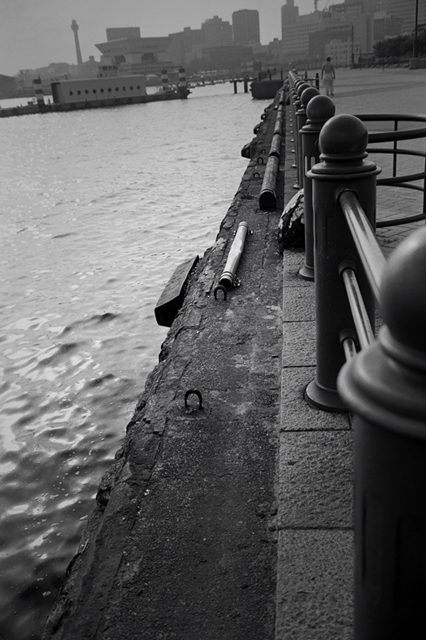 ���U���ʐ^�A���o�� f-2009.11.08Yokohama-IIIf-Summicron35mmF2-ACROS100-306.jpg 2009.11.08<BR>���l<BR>�Vf Summicron35/2<BR>ACROS100 D76 1:1