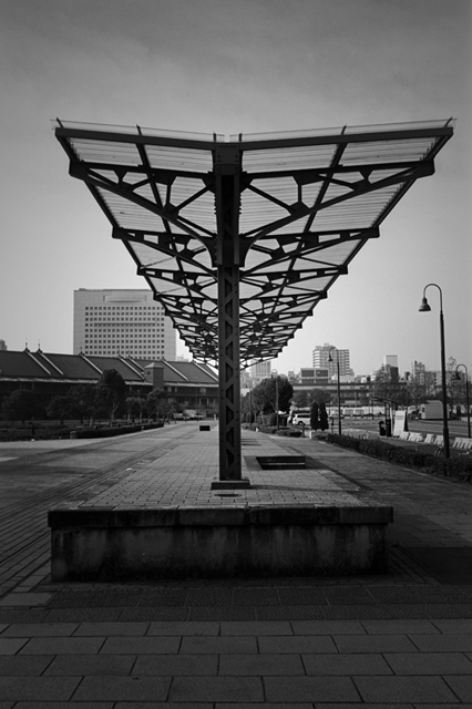 ���U���ʐ^�A���o�� f-2009.11.08Yokohama-IIIf-Summicron35mmF2-ACROS100-307.jpg 2009.11.08<BR>���l<BR>�Vf Summicron35/2<BR>ACROS100 D76 1:1
