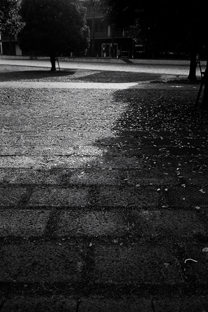 ���U���ʐ^�A���o�� f-2009.11.08Yokohama-IIIf-Summicron35mmF2-ACROS100-308.jpg 2009.11.08<BR>���l<BR>�Vf Summicron35/2<BR>ACROS100 D76 1:1
