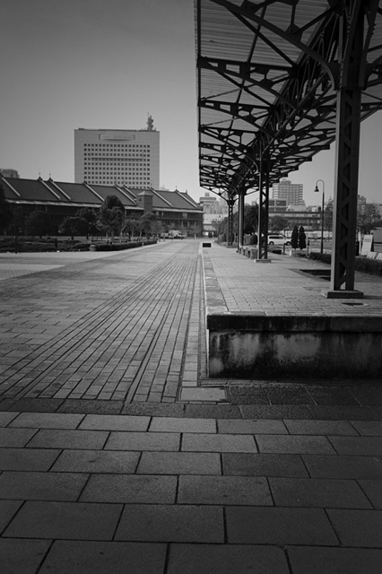 ���U���ʐ^�A���o�� f-2009.11.08Yokohama-IIIf-Summicron35mmF2-ACROS100-309.jpg 2009.11.08<BR>���l<BR>�Vf Summicron35/2<BR>ACROS100 D76 1:1
