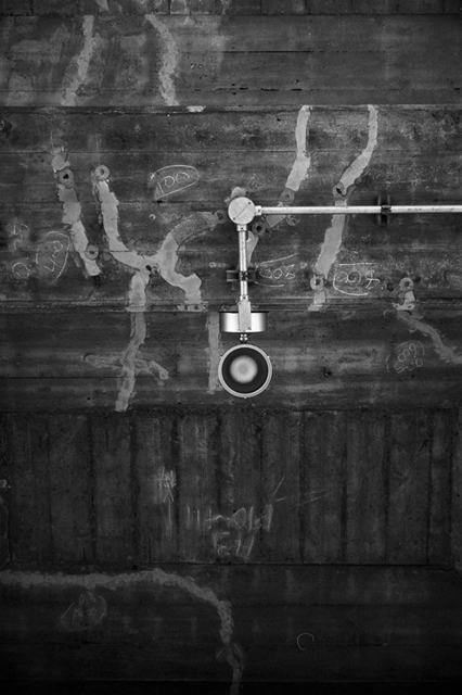 ���U���ʐ^�A���o�� f-2009.11.08Yokohama-IIIf-Summicron35mmF2-ACROS100-311.jpg 2009.11.08<BR>���l<BR>�Vf Summicron35/2<BR>ACROS100 D76 1:1