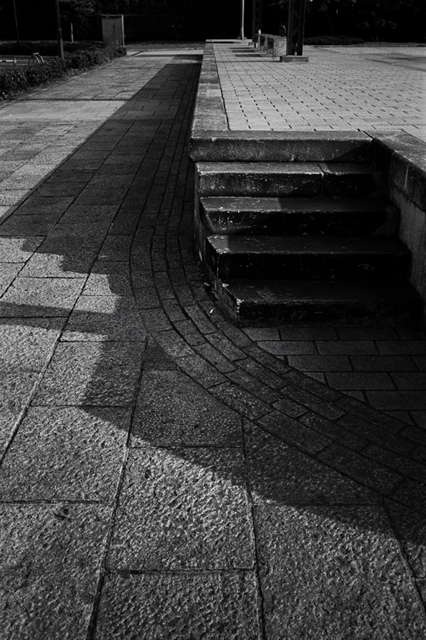 ���U���ʐ^�A���o�� f-2009.11.08Yokohama-IIIf-Summicron35mmF2-ACROS100-312.jpg 2009.11.08<BR>���l<BR>�Vf Summicron35/2<BR>ACROS100 D76 1:1