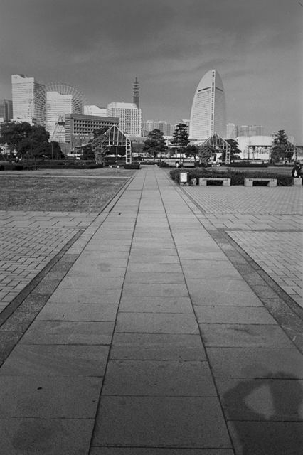 ���U���ʐ^�A���o�� f-2009.11.08Yokohama-IIIf-Summicron35mmF2-ACROS100-313.jpg 2009.11.08<BR>���l<BR>�Vf Summicron35/2<BR>ACROS100 D76 1:1