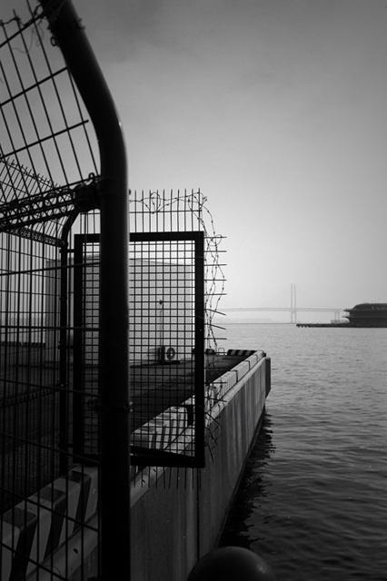 ���U���ʐ^�A���o�� f-2009.11.08Yokohama-IIIf-Summicron35mmF2-ACROS100-315.jpg 2009.11.08<BR>���l<BR>�Vf Summicron35/2<BR>ACROS100 D76 1:1