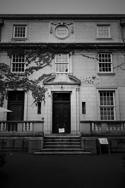 ���U���ʐ^�A���o�� f-2009.11.08Yokohama-IIIf-Summicron35mmF2-ACROS100-318.jpg 2009.11.08<BR>���l<BR>�Vf Summicron35/2<BR>ACROS100 D76 1:1