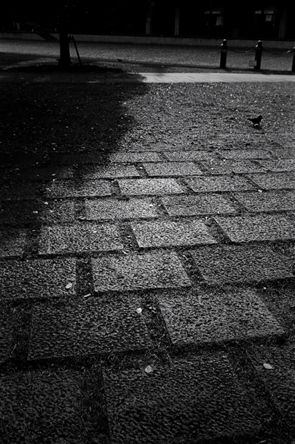 ���U���ʐ^�A���o�� f-2009.11.08Yokohama-IIIf-Summicron35mmF2-ACROS100-319.jpg 2009.11.08<BR>���l<BR>�Vf Summicron35/2<BR>ACROS100 D76 1:1