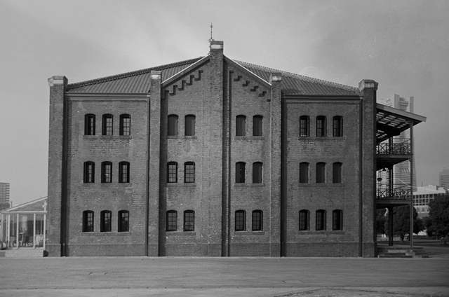 ���U���ʐ^�A���o�� f-2009.11.08Yokohama-IIIf-Summicron35mmF2-ACROS100-401.jpg 2009.11.08<BR>���l<BR>�Vf Summicron35/2<BR>ACROS100 D76 1:1