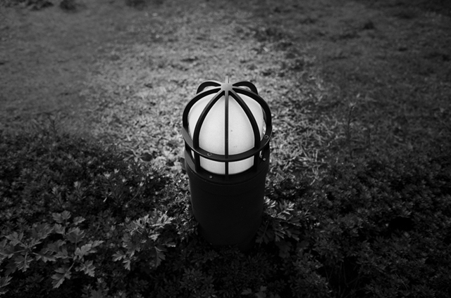 ���U���ʐ^�A���o�� f-2009.11.08Yokohama-IIIf-Summicron35mmF2-ACROS100-403.jpg 2009.11.08<BR>���l<BR>�Vf Summicron35/2<BR>ACROS100 D76 1:1
