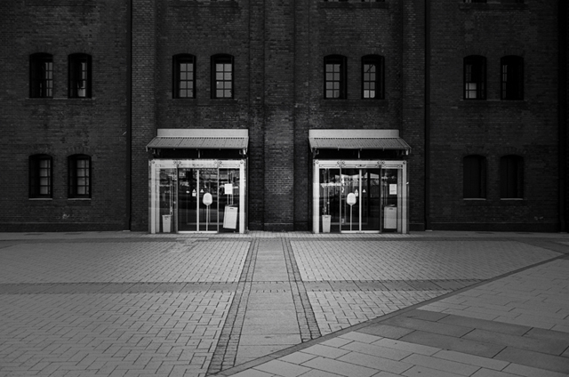 ���U���ʐ^�A���o�� f-2009.11.08Yokohama-IIIf-Summicron35mmF2-ACROS100-405.jpg 2009.11.08<BR>���l<BR>�Vf Summicron35/2<BR>ACROS100 D76 1:1