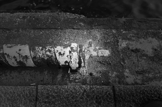 ���U���ʐ^�A���o�� f-2009.11.08Yokohama-IIIf-Summicron35mmF2-ACROS100-407.jpg 2009.11.08<BR>���l<BR>�Vf Summicron35/2<BR>ACROS100 D76 1:1