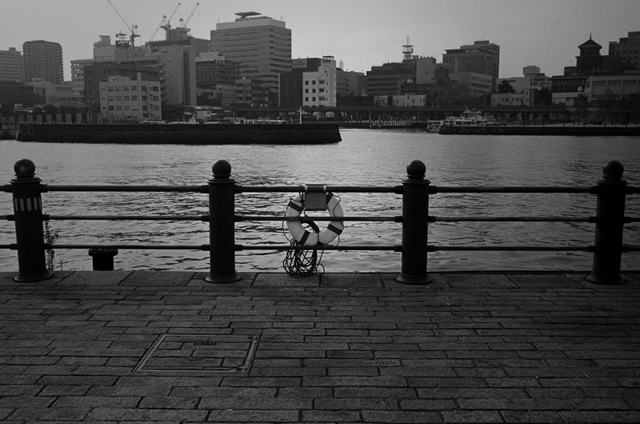 ���U���ʐ^�A���o�� f-2009.11.08Yokohama-IIIf-Summicron35mmF2-ACROS100-408.jpg 2009.11.08<BR>���l<BR>�Vf Summicron35/2<BR>ACROS100 D76 1:1