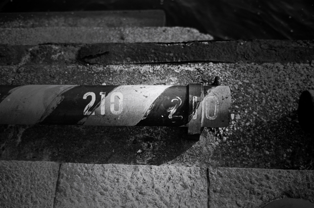 ���U���ʐ^�A���o�� f-2009.11.08Yokohama-IIIf-Summicron35mmF2-ACROS100-409.jpg 2009.11.08<BR>���l<BR>�Vf Summicron35/2<BR>ACROS100 D76 1:1
