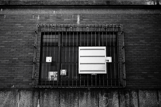 ���U���ʐ^�A���o�� f-2009.11.08Yokohama-IIIf-Summicron35mmF2-ACROS100-412.jpg 2009.11.08<BR>���l<BR>�Vf Summicron35/2<BR>ACROS100 D76 1:1
