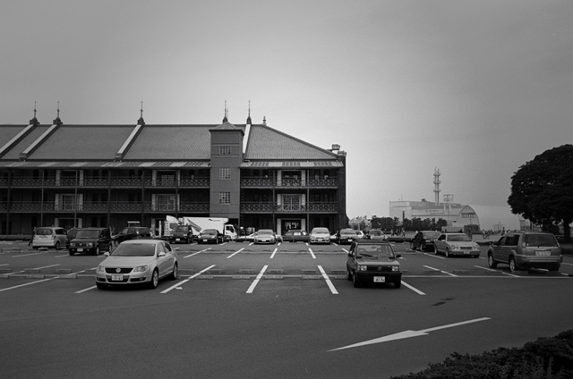 ���U���ʐ^�A���o�� f-2009.11.08Yokohama-IIIf-Summicron35mmF2-ACROS100-417.jpg 2009.11.08<BR>���l<BR>�Vf Summicron35/2<BR>ACROS100 D76 1:1